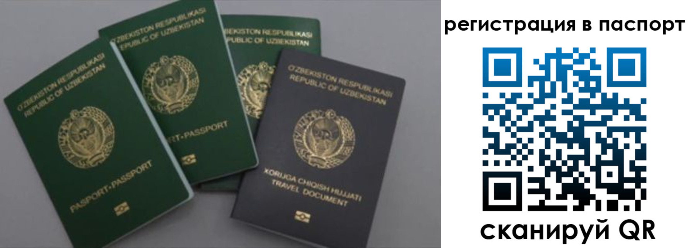 прописка от собственника в Ессентуках